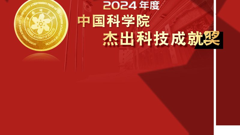 低代码平台实战：五大注意事项揭秘